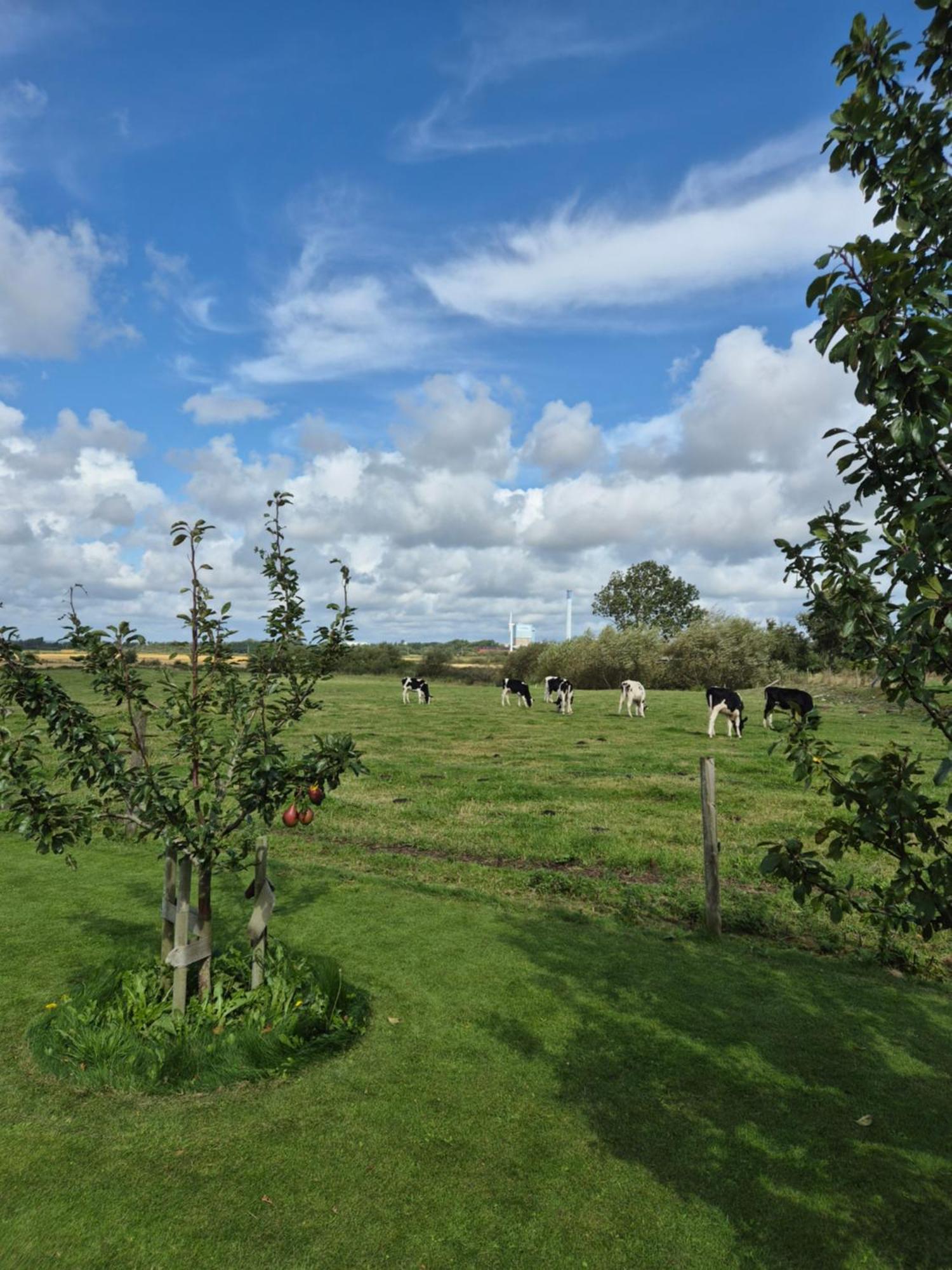 Holiday home Utsikten Halmstad